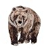 Bear Iron on Embroidered Patch