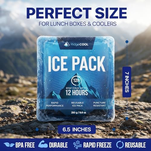 RIDGECOOL Ice Packs for Cooler, Reusable Ice Packs for Lunch Boxes, 4 Pack Long Lasting Freezer Packs, Leakproof Cooler Ice Packs for Lunch Bags and Coolers, BPA-Free, Food Safe - 4