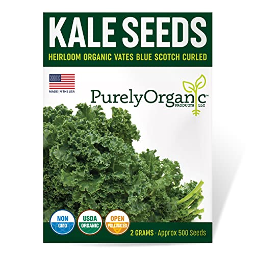 Organic Kale Seeds (Vates Blue Scotch Curled) - Approx 500 Seeds - USDA Organic, Non-GMO, Open...