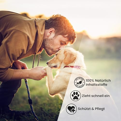 Animal Vita® Pfotenbalsam 100ml für Hunde und Katzen [mit Bienenwachs] 100% natürliche Inhaltsstoffe - Pflegt rissige und spröde Pfoten - Natürliche Pfotenpflege - Nasenbalsam ohne Parfüm