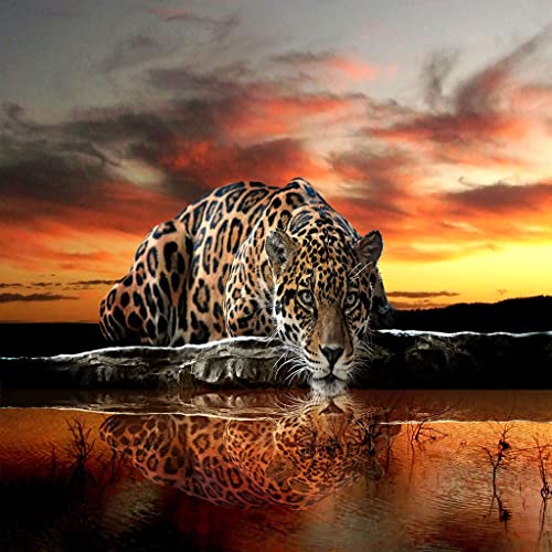 Kuscheldecke Flanell Decke 130X150Cm 3D Drucken Microfaser Weich Flauschige Warm Plüsch Wohndecke Sonnenuntergang Tier Leopard Muster Tagesdecke Fleecedecke Winterdecke Für Sofa Und Bett – Bild 5