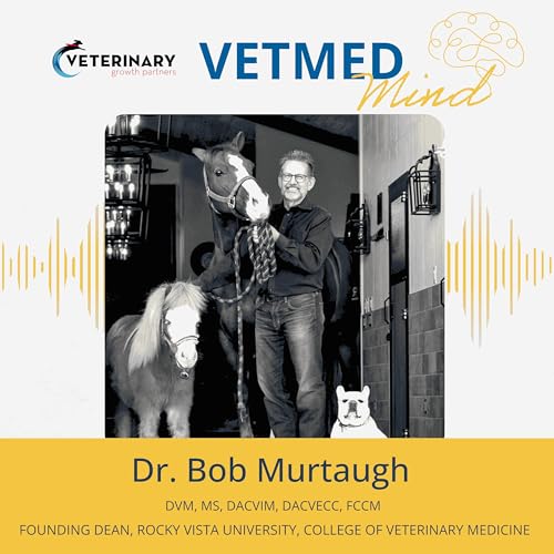 Page de couverture de Success Stories & Lessons Learned: Bob Murtaugh