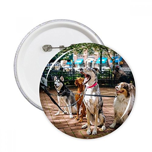 Pins Chiens Pet animaux grand badge rond multicolore décoration de vêtements robuste