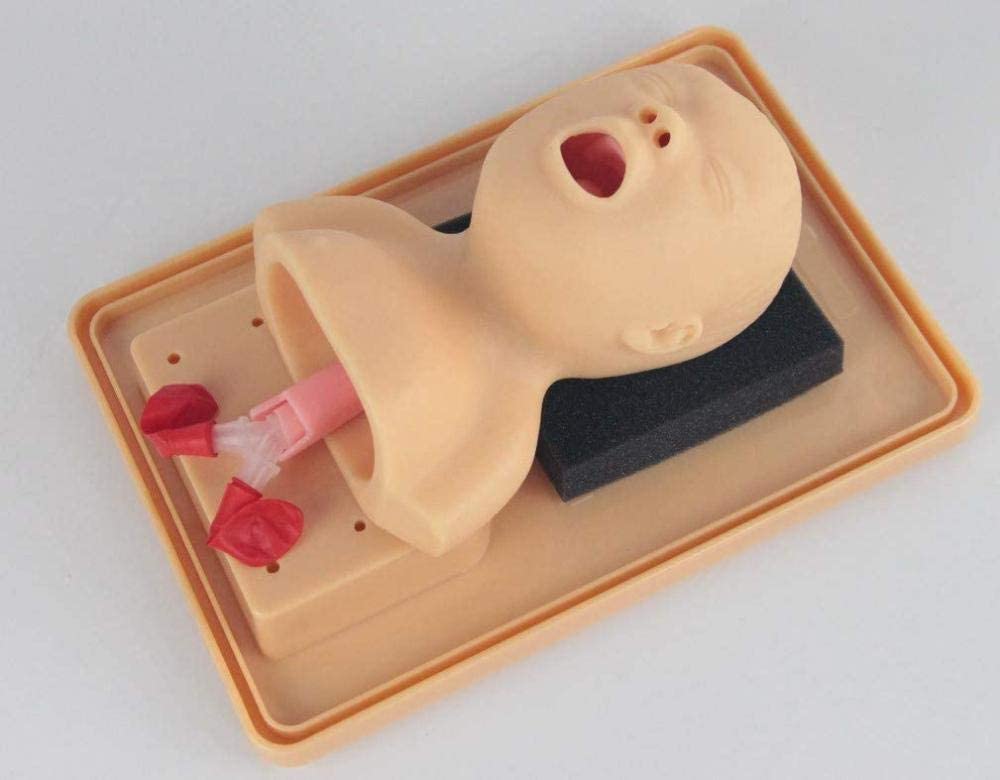Buy KEZaiZHe Model Manikin 11 Intubation Manikin Tracheal Intubation