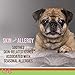 Licks Pill-Free Small Breed Dog Skin & Allergy - Omega 3 Dog Allergy Relief - Vitamins & Supplements for Itch Relief - Turmeric Supplement for Skin - Gel Packets - 10 Use