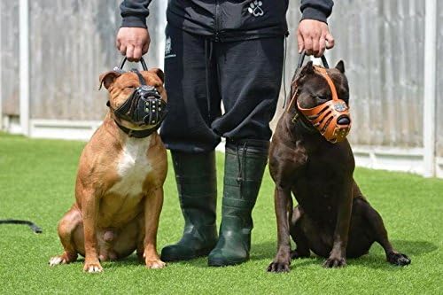 Miniatura 3 de Bestia Bozal Maximus Cesta. Diseño con tachuelas. Cuero