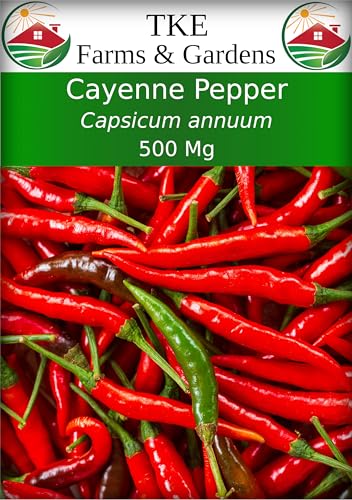TKE Farms & Gardens - Cayenne Pepper Seeds for Planting, 500 mg, 70 Heirloom Seeds, Non-GMO, Instructions Included, Capsicum annuum, Qty 1