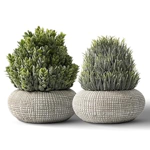 2 Stück (15,6/14,5cm) Kunstpflanze Klein im Beton-Töpfen, Künstliche Pflanzen Klein für Wohnzimmer Badezimmer Schlafzimmer Küche Tisch Büro Zimmer Deko