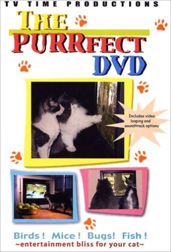 The Purrfect Cat Entertainment Video
