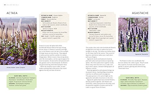 Brilliant & Wild: a Garden from Scratch in a Year