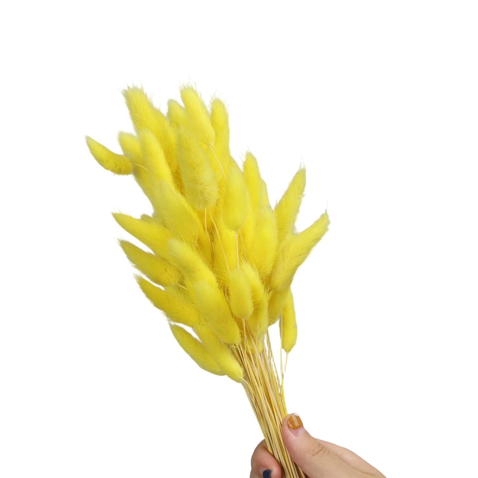 Tsophreniq 60Pcs Natural Hare Tails Dried Flower 23.6Inch Natural Dry Pampasgrass for Vase Arrangements Home Decoration Wedding Pet Safe Dried