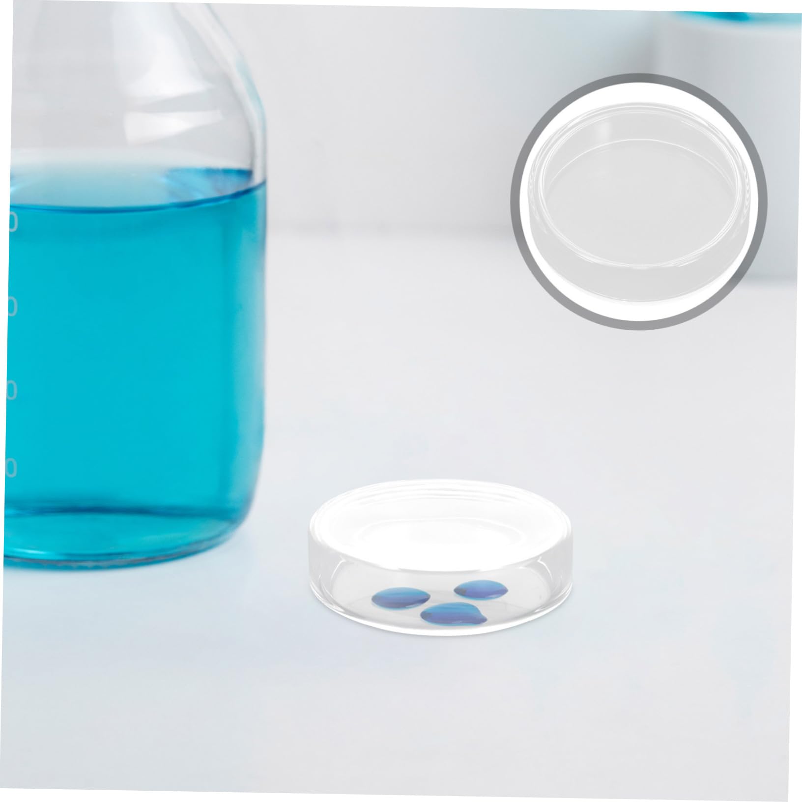 Abaodam 10stücke Labor-petrischalen aus Glas mit Deckel Wiederverwendbar für Mikrobiologische Kulturen und Experimente