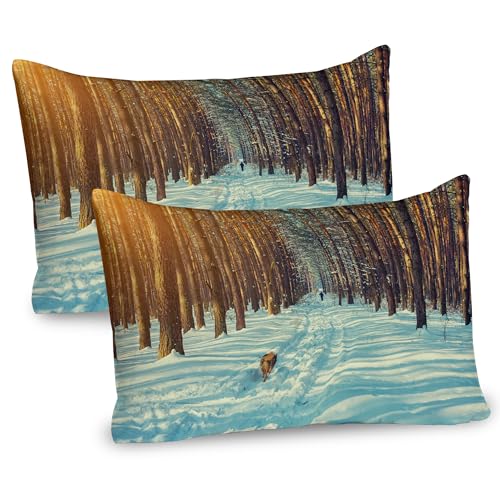 Ambesonne Winter Pillow Sham Set of 2, Skier Running Dog in The Forest Winter Season Snow and Dead Nature, Quality Microfiber Bedding Item for All Seasons, 26