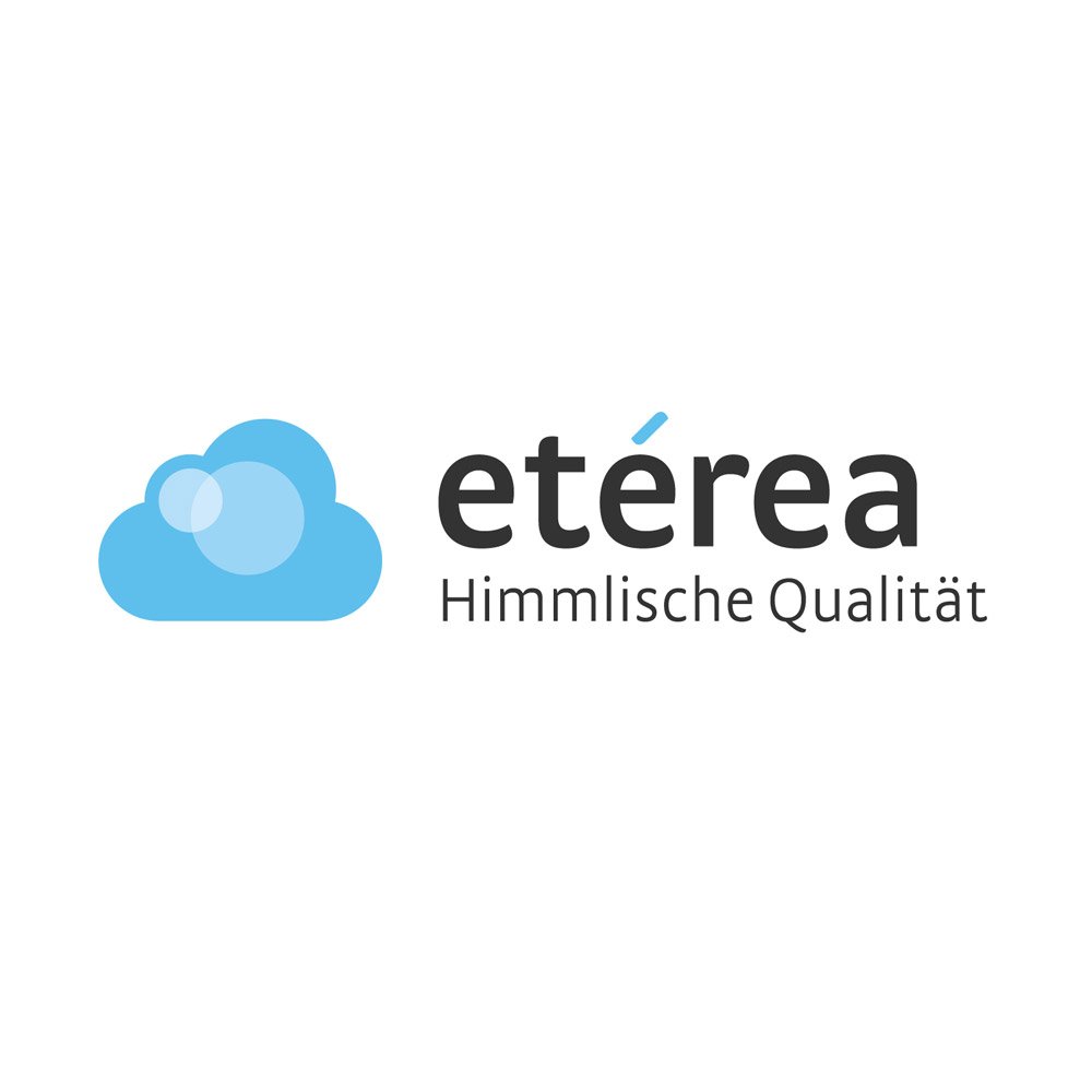 eterea Winterdecke 240x220 extra warm - Frieda Steppdecke nach Oekotex 100 - Ganzjahresdecke 240x220 - Extra Weiches Oberbett - Blanket Duvet Decke - Winter Bettdecke 240x220cm Weiß