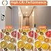 BOGAO Halogen Bulb 50 Watt GU10 120V NP5 Replacement Bulb for Candle Warmer, Scent Wax Burner, Fragrance Melt, Warming JDR Dimmable, Warm White 2700K Pack of 4