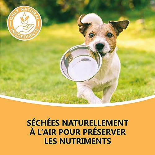 Pets Purest Pattes de Poulet pour Chiens - Friandises à Mâcher Pieds de Poulet Séchés à l'Air - pour Tous Les Ages, y Xompris Les Xhiots et Les Chiens Agés - Céréales Saines - sans Gluten ni Lactose - Image 5