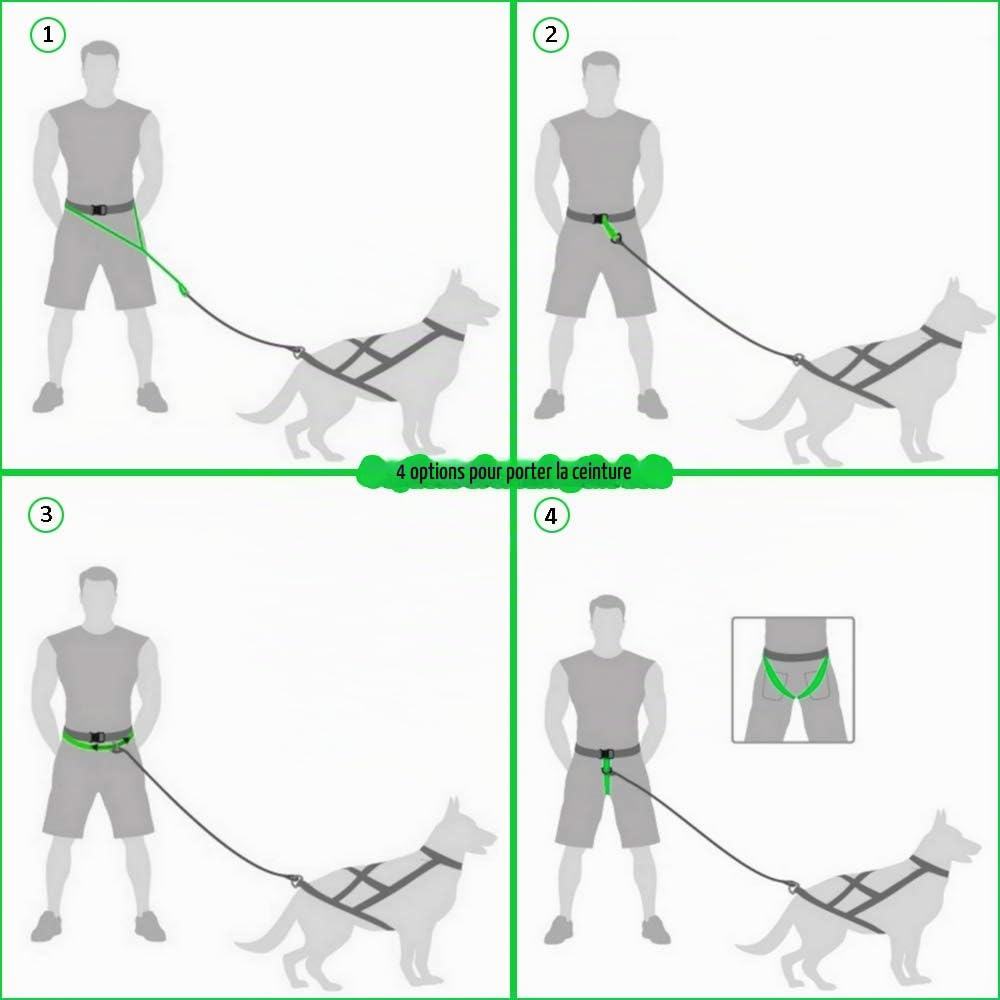 Dingo Canicross Ceinture 4-en-1 Universel, Réglable, Sûr, Réfléchissant, Multifonction, Ceinture de Course Mains Libres pour Chien pour la Course, Le Sport, l'Entraînement, Noir (12780-2)