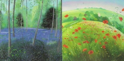 Notecards - 10 blank notelets in a box, 5 each of Poppy Field and Bluebell Wood - perfect as thank you cards