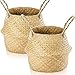 Lighterday 2 Stück Seegras Aufbewahrungskorb, Blumentopf Geflochten Übertopf Korb Wäschekorb Pflanzkorb für Decken Pflanze Spielzeug Lagerung (S 24×20cm)
