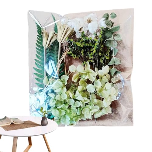 hCt[,phCt[ | t[Vbvt[AWgDIYLbg - i`őN₩ȃt[AWg̃nhNtgAW[hAtHgt[ALh