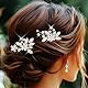 Evlry Perlen Braut Hochzeit Haarnadeln Silber Blume Haarschmuck Haarteil Kristall Haarspangen für Frauen und Mädchen (2 Stück)