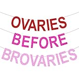 Ovaries Before Brovaries Banner, Happy Galentine’s Day Banner, Galentines Day Party Decorations, Pink Red Purple Girl Ladies Happy Valentines Day Anniversary Party Decorations