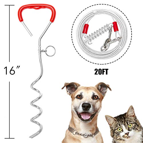 dog stake for camping