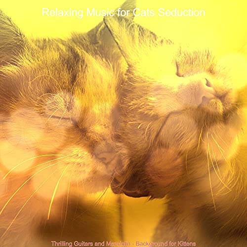 Thrilling Guitars and Mandolin - Background for Kittens de Relaxing ... - Cat Relaxing Music For Raising Kittens