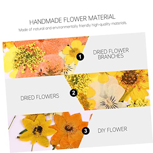 Material de Flores Secas ARTIBETTER 40 Piezas para Manualidades miniatura 3