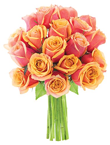 KaBloom-18 Orange Rose Bouquet, Flowers for Valentine, Mother's Day