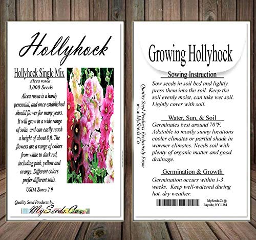 Myseeds.co Big Pack - Hollyhock Single Mix Seed (3,000 Seeds) - Alcea Rosea Heirloom Seeds - White To Dark Red, Including Pink, Yellow And Orange Edible Flower Seeds (Big Pack - Hollyhock Mix) #TOP3