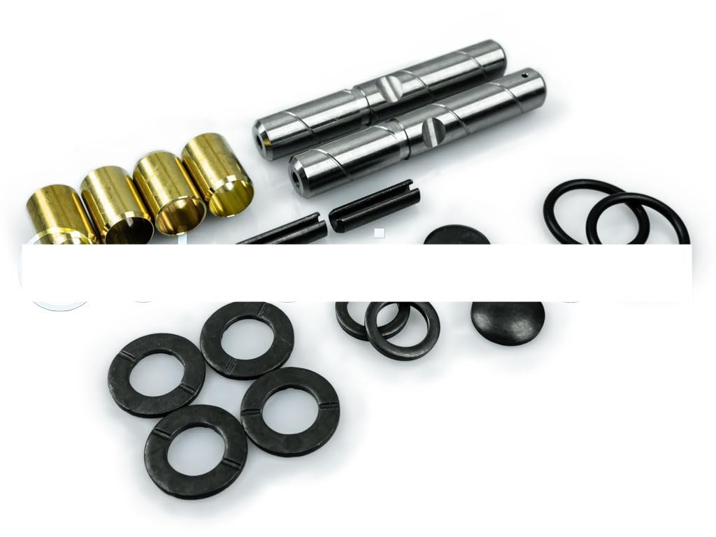 Kit Revisione Perni Fusi Compatibile con Fiat 500 Epoca