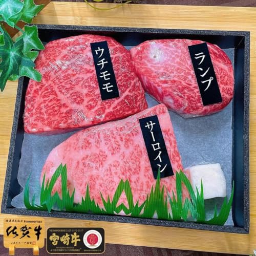 yn90N̍aXz Mtg ō A5 ɏ Y Xe[L  Hה I 3Zbg 550g T[C v E` lC j O Ԑg Xe[L i ̂܂{X