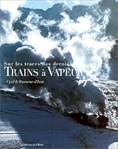 Download Sur les traces des derniers trains à vapeur PDF