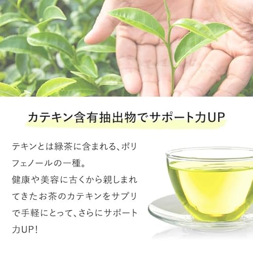 オーガランド (ogaland) シャンピニオンエチケット の商品画像 5