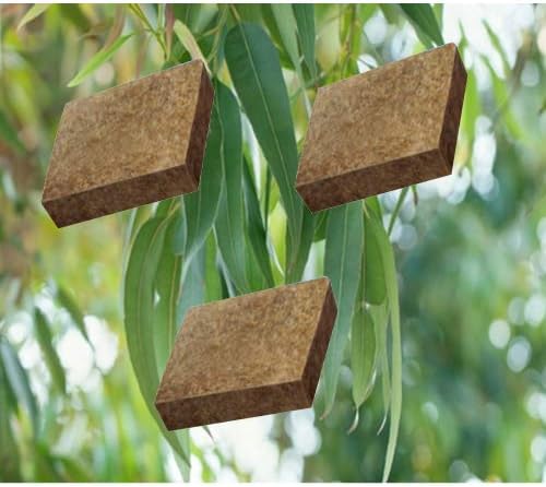 Sensation-Eucalyptus Square 3 Pack for Aroma Beam & Fan Dispensers