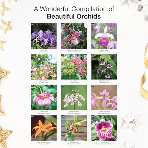 RED EMBER Orchids 2026 Wall Calendar 12 Month | 12 inch x 24 inch Open ...