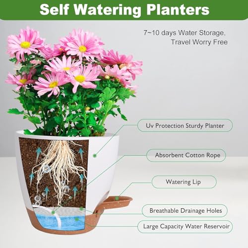 Image of INKULTURE Flower Pot for Indoor Plants - Self Watering Plant Pot Set of 5, Multi Size Plastic Planter with Drainage Hole & Watering Lip (7 /6.5 /6 /5.5 /5 Inch) White | Pots for Home, Office & Succulents