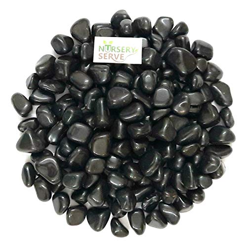 NurseryServe Granite Pebbles Decorative Stones Gravels for Aquarium