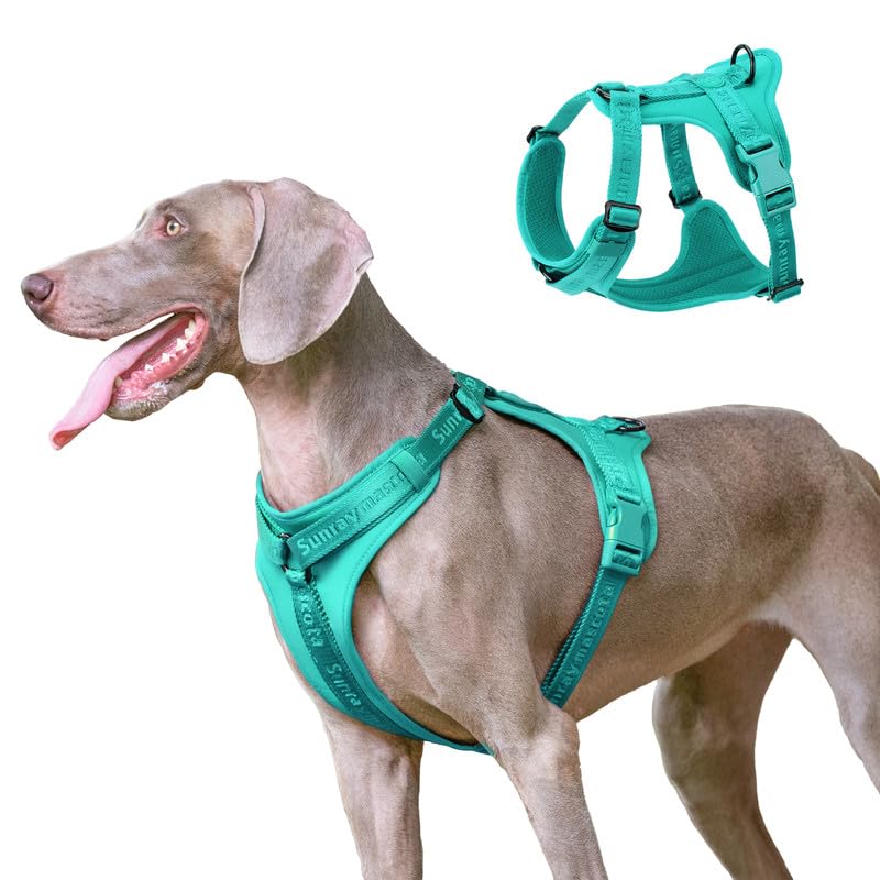 Dog Harness, Soft Lycra, Adjustable, Breathable Mesh Vest for Large Dogs