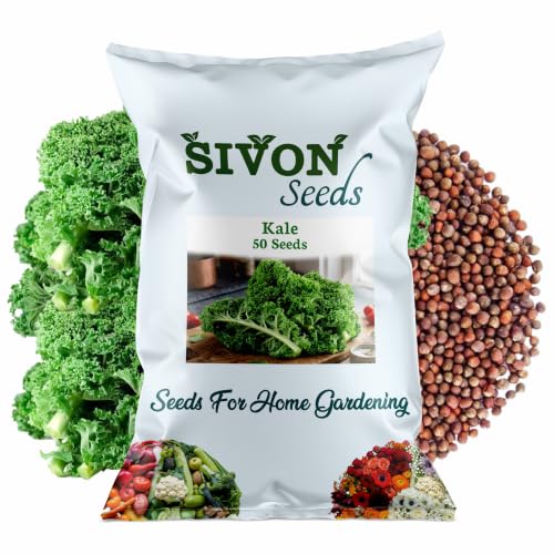 Image of SIVON Kale (50 Seeds) Exotic Vegetable Seeds for Home Garden, Organic & Hybrid, Perfect for Home Gardening, Planting For Pots and Patio