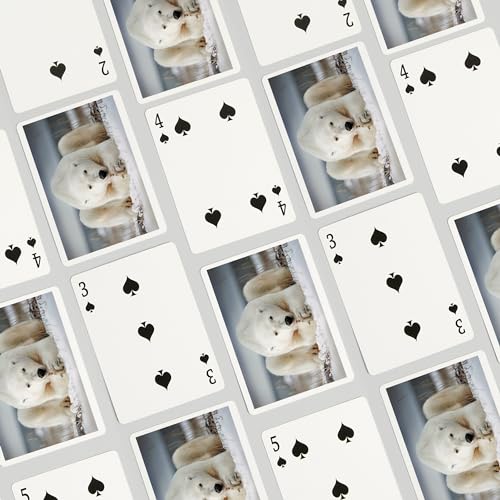 Baraja Póker Polar Bear Laying in Snow 52 Cartas miniatura 4