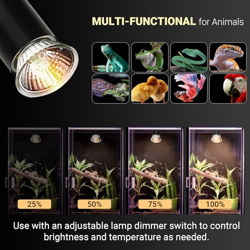 Image of CALPALMY 4-Pack 25W UVA+UVB Reptile Heat Bulbs - Heat and Light for Reptiles and Amphibian Tanks, Terrariums and Cages - Works with Turtle Lizard Various Amphibian Terrarium Heat Lamp Fixtures