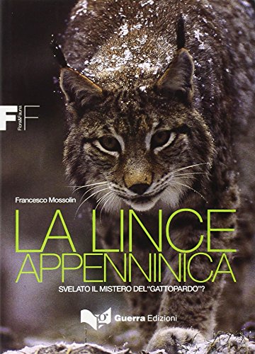 La Lince Appenninica. Svelato Il Mistero Del «Gattopardo»? La Lince Appenninica. Svelato Il Mistero Del «Gattopardo»?