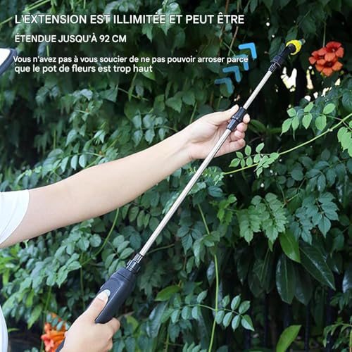Pulvérisateur de jardin électrique à dos Type-C pour fleurs et potager - 7