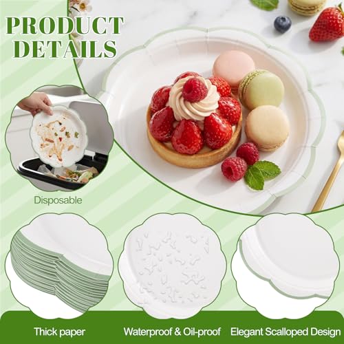 Image of NatNarr 30 Pcs Sage Green and White Paper Plates, 7 Inch White Plates with Sage Green Trim Scalloped Paper Plate Disposable for Baby Shower, Wedding, Bridal Shower, Birthday