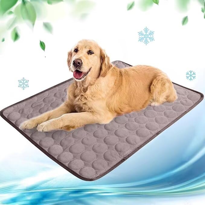SWZEC Paws Galore Chillpaws Self Cooling Mat