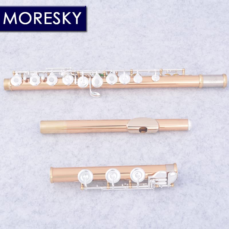 Amazon.com: MORESKY 17 Agujeros Abiertos C Flauta Llave