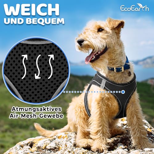 Hundegeschirr + Leine - Klein, Schwarz - Weich gepolstert + Zugfreies Design Haustiergeschirr + Reflektierende Streifen für kleine Hunde - von EcoEarth