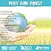 Raw Paws Organic Kelp Powder for Dogs & Cats (16-Ounce) - Supports Thyroid, Digestive & Immune Health - Dried Sea Kelp for Dogs - Seaweed Powder Supplement